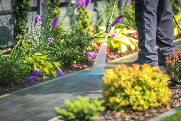 Best Animal Enclosure Cleaning  in Belding, MI